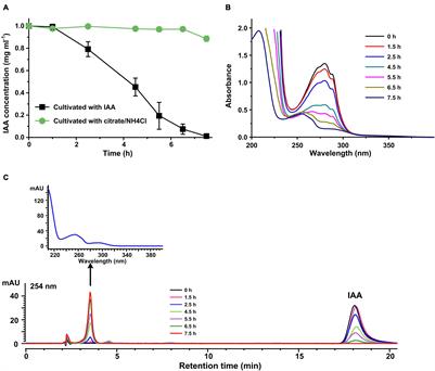 Label-Free Quantitative Proteomic Analysis of the Global Response to Indole-3-Acetic Acid in Newly Isolated Pseudomonas sp. Strain LY1